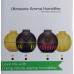 Aroma difuser humidor aromaterapie zvlhčovač vzduchu LED COLOR USB